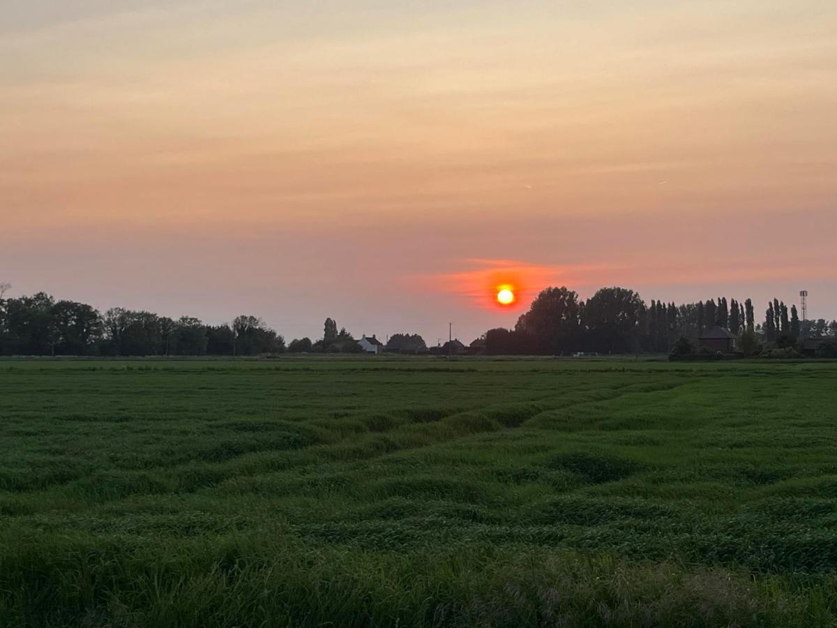Boyce Fen Farm Retreat Glamping & Fishery Villa Wisbech Buitenkant foto